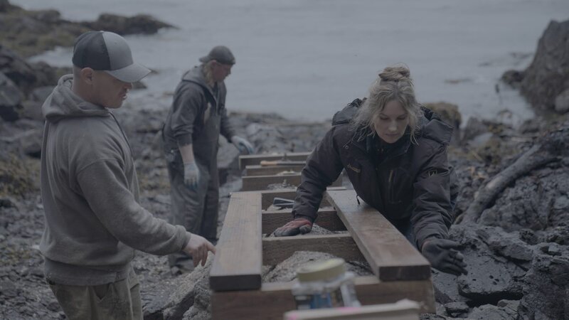 Troy Brockway, David Squibb, and Sarah McDonald construct a ramp from the beach up to Troy’s property. – Bild: National Geographic /​ Gil Cano