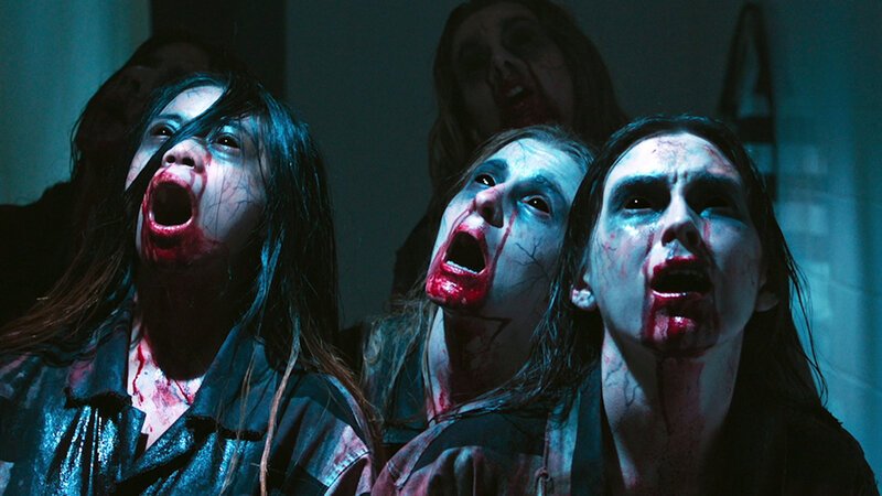 . – Bild: Silverline . – Bild: Silverline