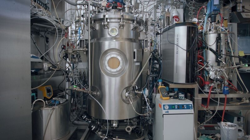 Die Bio-Bäuerin Linda Kelly stellt Lupinenkaffee her. – Bild: Autentic GmbH