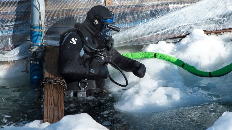 Andy Kelly surfaces from a dive at Bluff. – Bild: Discovery Channel /​ Discovery Communications