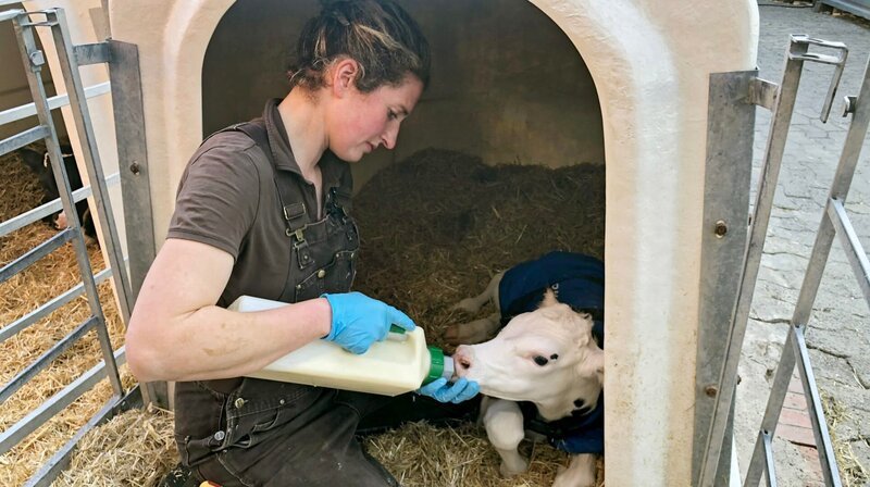Friederike Kastens mit Kalb – Bild: NDR/video:arthouse/Ursula Hensel Friederike Kastens mit Kalb – Bild: NDR/video:arthouse/Ursula Hensel