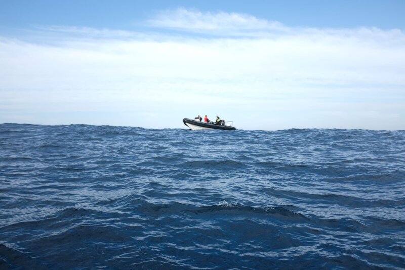 In Protea Banks gehen Matt und Dickie ins Wasser und werfen den Köderball – Bild: 2023 Warner Bros. Discovery, Inc. or its subsidiaries and affiliates. All rights reserved.