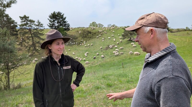Vor Wölfen geschützte Schafe sind dringend notwendig für den Schutz von Trockenrasen-Biotopen im Nationalpark Unteres Odertal. Schäfer Jens Kath im Gespräch mit Rangerin Nancy Langer (li.). – Bild: rbb/​Fred Pilarski