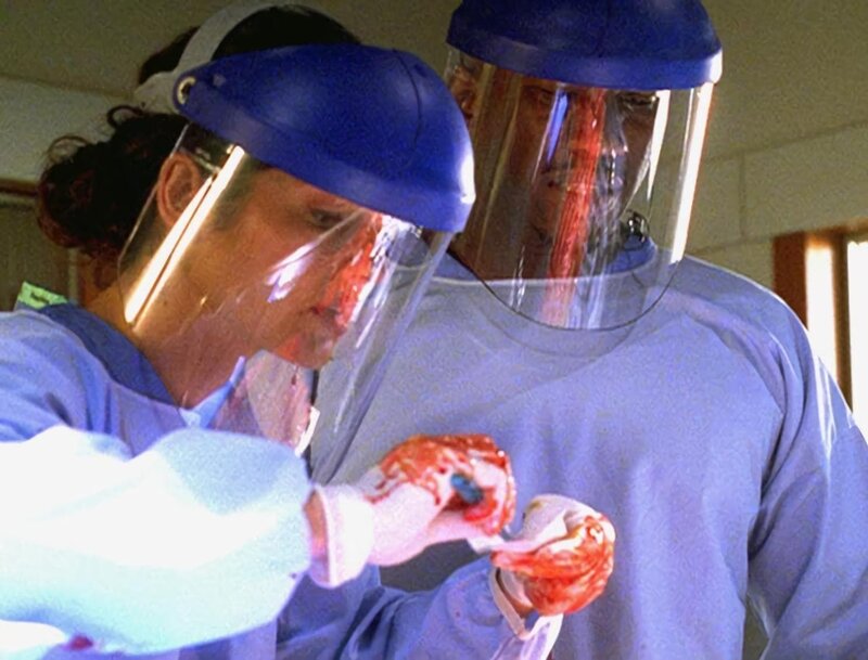 Ein schwieriger Fall erfordert die ganze Aufmerksamkeit von Jordan Cavanaugh  (Jill Hennessy) und Trey (Mahershalalhashbaz Ali): Sie müssen einen weiblichen Torso identifizieren. – Bild: TVNOW