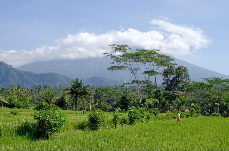 Vulkane, Wälder und Sandstrände: Bali ist eine kleine Insel mit großer Vielfalt. – Bild: Elephant Doc