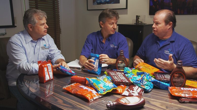 Fort Lauderdale, FL, USA: Builder Krusty Gamez makes a case for his idea for the Hershey aquarium. – Bild: National Geographic Channels /​ Ian Choplick