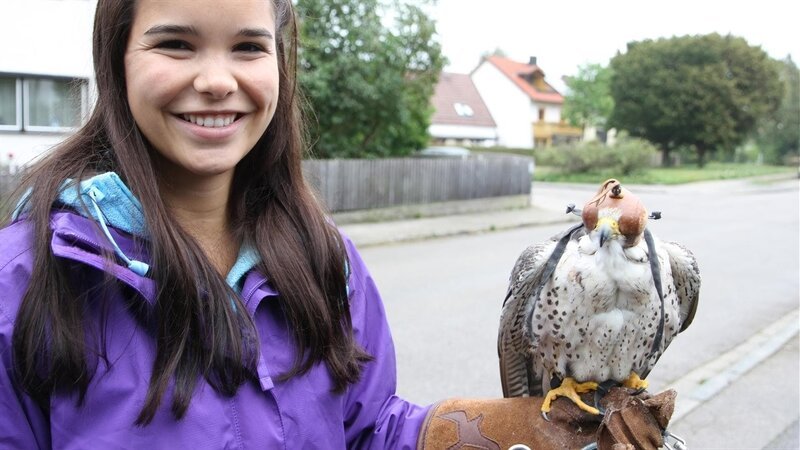 4 Anna und die wilden Tiere – Der Falkner und seine Greifvögel 4; – Bild: BR/​Text und Bild Medienproduktion GmbH & Co. KG