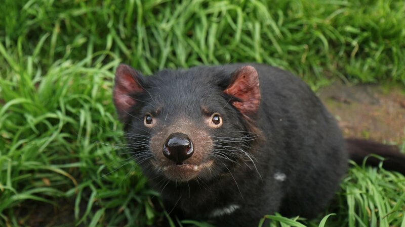 Bild: Medienkontor/​Roland Gockel