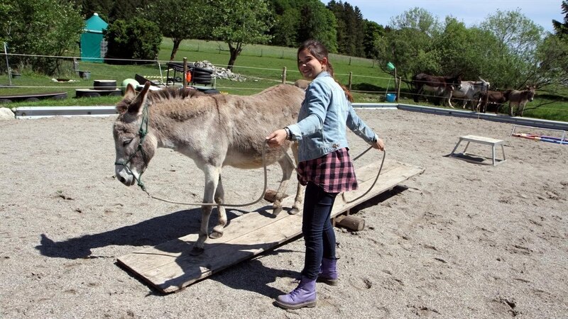 Esel 2; – Bild: BR/​Text+Bild Medienproduktion GmbH & Co. KG