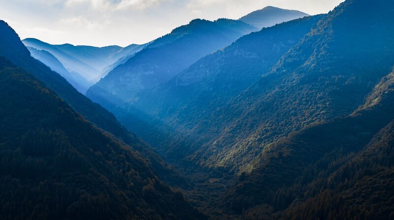 Bild: National Geographic