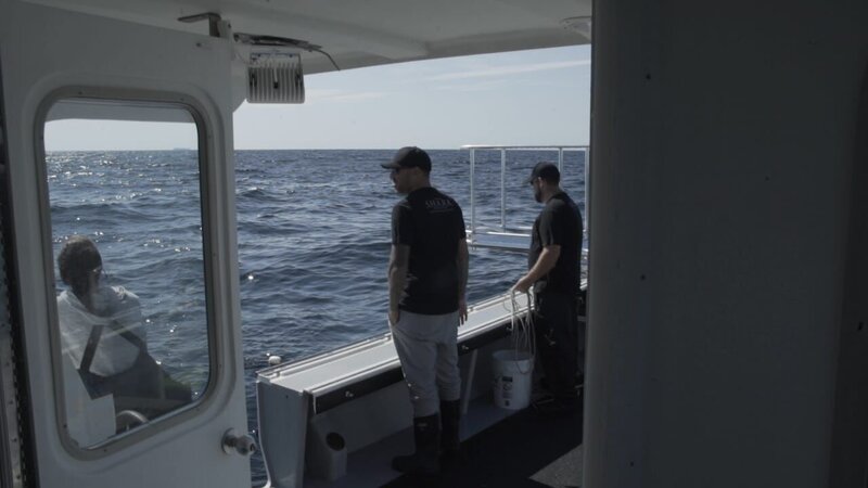 Joe, Lauren and Brian at the back of the boat. – Bild: Discovery Channel /​ Discovery Communications, LLC
