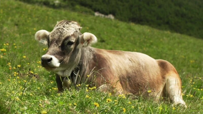 Bild: @Red Bull Media House/​ServusTV