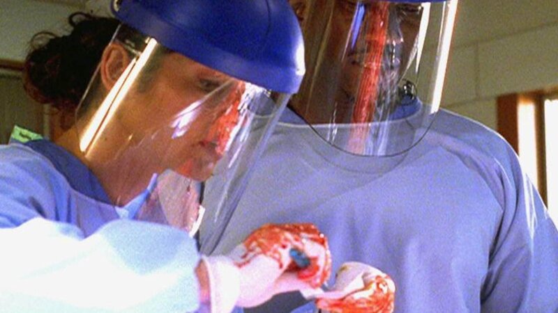 Ein schwieriger Fall erfordert die ganze Aufmerksamkeit von Jordan Cavanaugh  (Jill Hennessy) und Trey (Mahershalalhashbaz Ali): Sie müssen einen weiblichen Torso identifizieren. – Bild: RTL