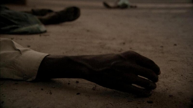 Bild: Darlow Smithson Productions