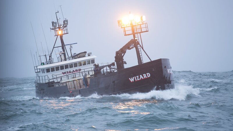 The Wizard. – Bild: For merchandising, publishing & ancillary products, check talent contract, appearance & property releases.