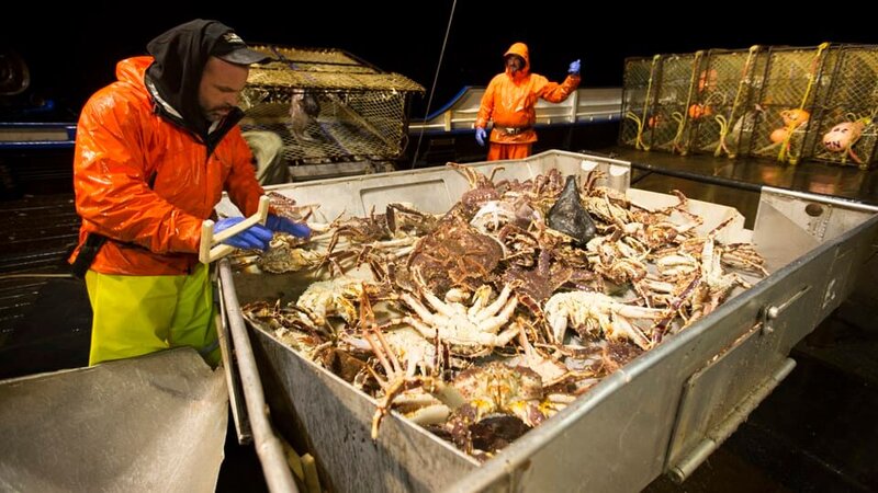 Northwestern. Deckhands Matt Bradley and Nick Mavar. – Bild: DMAX