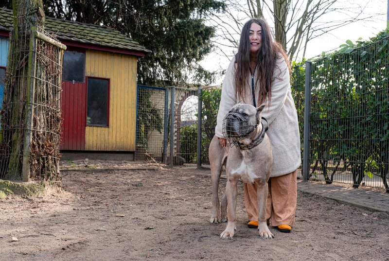 Rüde Aaron kann manchmal richtig ausrasten. Mehrere Gassigänger im Tierheim Duisburg sind schon verzweifelt. Doch bei einem bestimmten Menschen wird er zum Engel. – Bild: WDR/​Stefan Servos