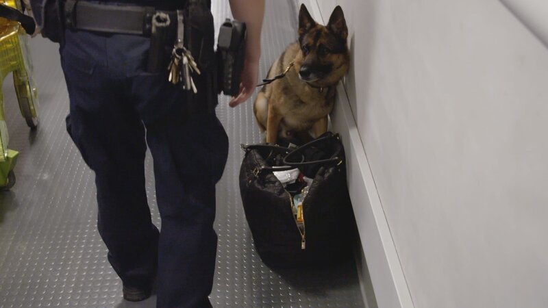 Bild: 2022 NGC NETWORK US, LLC. ALL RIGHTS RESERVED. Lizenzbild frei