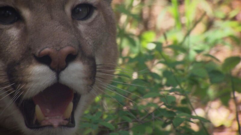 . – Bild: Warner Bros. Discovery