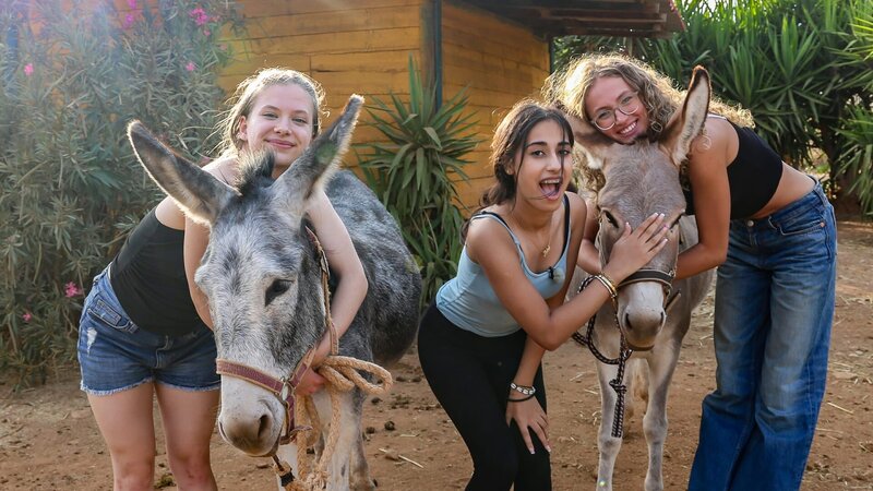 Es ist Liebe auf den ersten Blick! Josefine, Mahak und Nele sind sofort hin und weg von den Eseln der Auffangstation für misshandelte Tiere. Sie helfen, die Esel wieder aufzupäppeln. – Bild: ZDF/​Georg Bussek