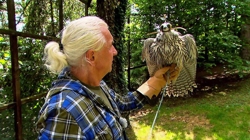 Bild: @Red Bull Media House/​ServusTV