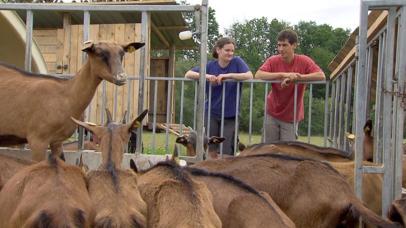 Die beiden Quereinsteiger Christina und Johannes S.. sind seit kurzem Ziegenbauern. Sie haben ihren Hof über den Verein „Perspektive Landwirtschaft“ gefunden. Der Verein, vor etwa 10 Jahren von Boku-Studenten gegründet, bietet eine Plattform für Menschen, die Höfe haben und Erben suchen, und umgekehrt für jene, die gerne Landwirtschaft arbeiten wollen, aber keinen Hof haben. – Bild: ORF und ZDF