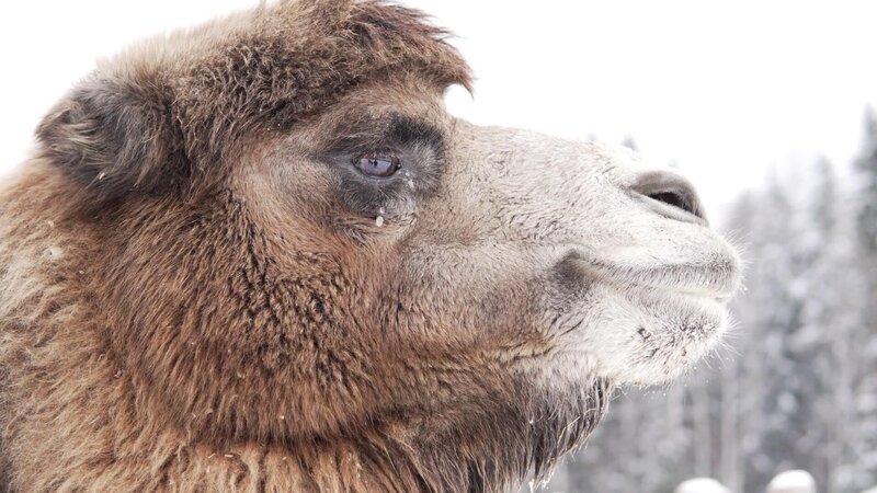 Bild: Licensed by Universal Studios Limited