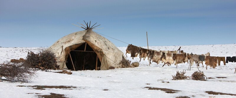 Bild: ARCTIC IMAGES /​ Alamy Stock Photo Lizenzbild frei