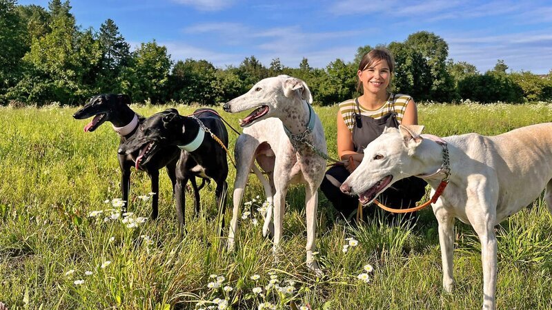 Anna darf mit den vier Galgos Lewi, Jule, Frida und Simon Gassi gehen. – Bild: BR/​Text und Bild Medienproduktion GmbH & Co. KG/​Katharina Brackmann