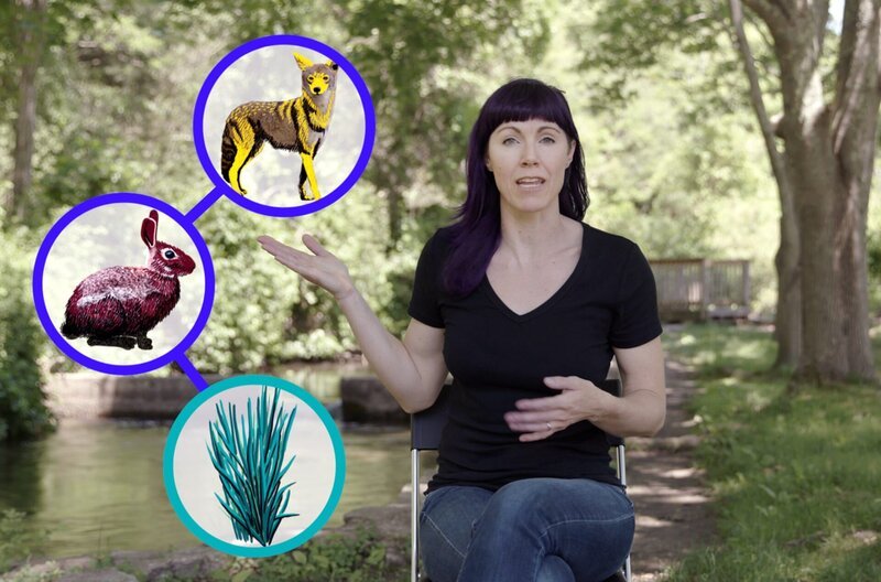 Dana Morton vom Colby College in Waterville (Maine, USA) erklärt, wie eine Nahrungskette aufgebaut ist und welche Rolle Parasiten in Ökosystemen spielen. – Bild: Stefan Birnbaum/​Jost Althoff/​Veronica Solomon