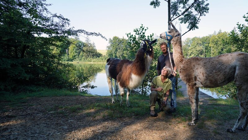 Mit ihren Lamas bieten Anja und Jürgen Leiner mehrtägige, geführte Touren an oder setzen die Tiere für Therapien ein. Mit ihrem Hof im Fuchstal haben sie sich einen Lebenstraum erfüllt. – Bild: BR/​isarflimmern fernsehproduktion GmbH/​cutflow GmbH