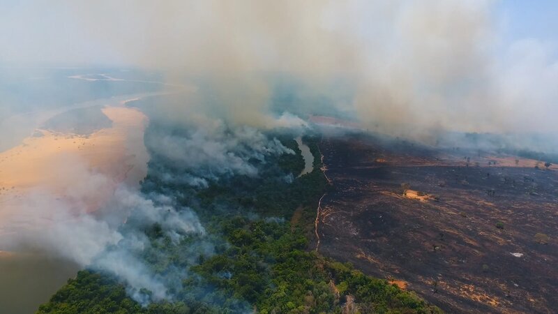 Feuer bedrohen das Naturschutzgebiet in der Trockenzeit. – Bild: ZDF Feuer bedrohen das Naturschutzgebiet in der Trockenzeit. – Bild: ZDF