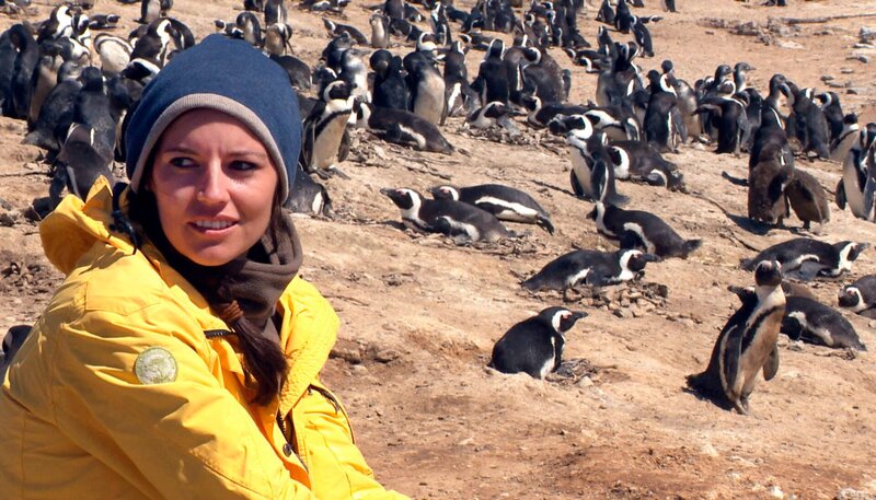 Pinguine in Namibia? Auf der Insel Halifax lebt eine riesige Kolonie Brillenpinguine. Sie ist die einzige des Landes. Nur wenige Menschen dürfen sie besuchen, darunter Volontärin Jenny, die ein Biologin auf ihrem Kontrollbesuch begleitet. – Bild: SWR/​Harald Mittermüller