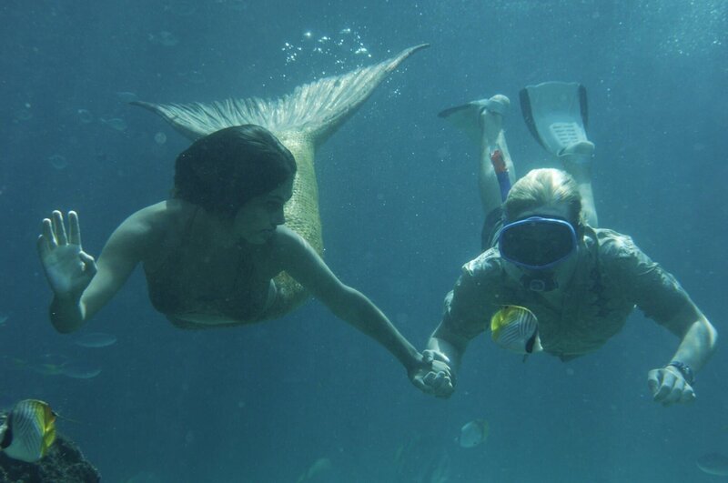 Cleo (Phoebe Tonkin, li.) und Lewis (Angus McLaren, re.) auf Unterwasser-Tour. Dabei bemerken sie, dass sie sich noch immer gut verstehen. – Bild: ZDF/​Jasin Boland