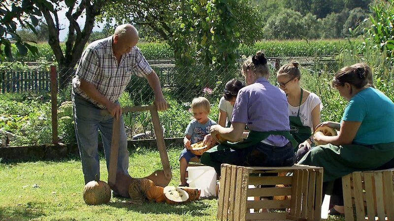Für die Kürbisernte helfen bei der Familie Handl alle zusammen. – Bild: ORF/​Visualize Filmproduktion