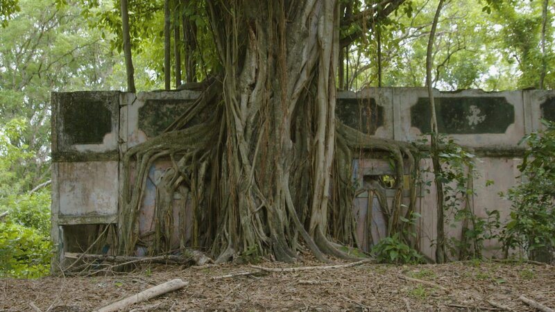 In der verlassenen kolumbianischen Stadt Armero befinden sich die Überreste zahlreicher Kreuze, Grabsteine und Schreine. Hier scheinen viele Menschen auf rätselhafte Weise verstorben zu sein. – Bild: N24 Doku