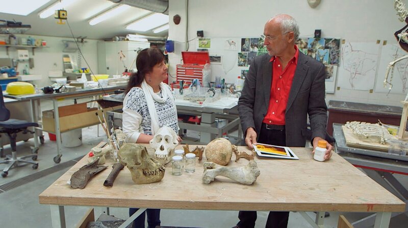 Ein Schädel für Charles Darwin – Bild: MDR/​Februarfilm