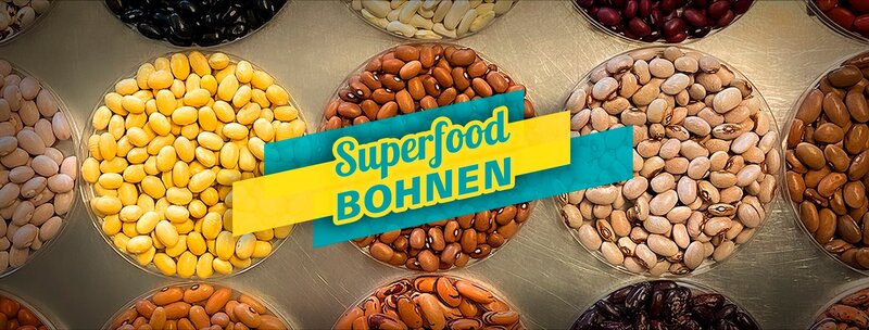 keyvisual – Bild: MDR