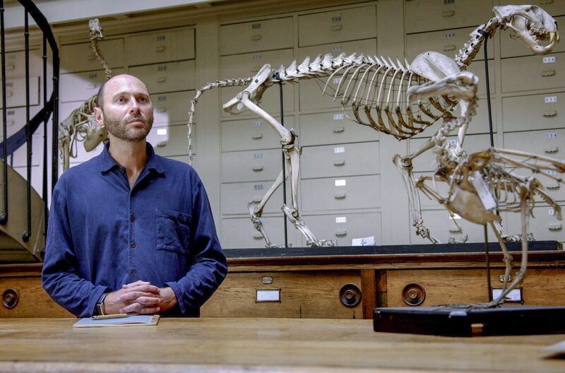 Jean-Sébastien Steyer, Paläontologe am Pariser Naturkundemuseum, beantwortet die Frage: Was ist überhaupt Leben? – Bild: ARTE France/​Curiosity Stream