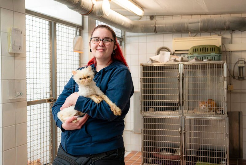 Perserkater Monchi musste bei seiner Ankunft im Tierheim Duisburg erst einmal geschoren werden. Sein Fell war in einem fürchterlichen Zustand. – Bild: WDR/​Stefan Servos