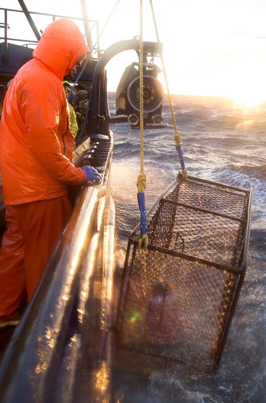 Cape Caution. – Bild: Discovery Communications