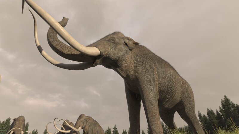 Ein computergeneriertes Bild zeigt. – Bild: National Geographic /​ Disney