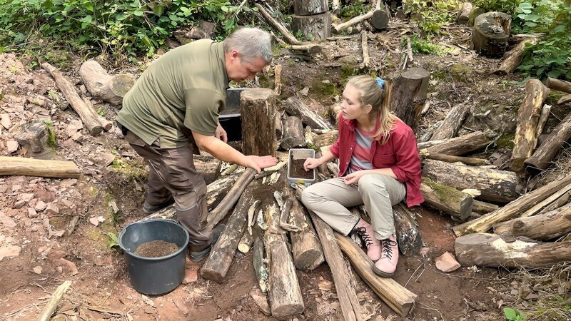 Der Hirschkäfer-Kampf 4 – Bild: BR/​BILD+TEXT Medienproduktion GmbH & Co. KG/​Katja-Schübl