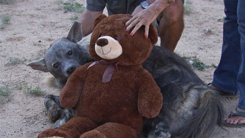 . – Bild: ANIXE HD