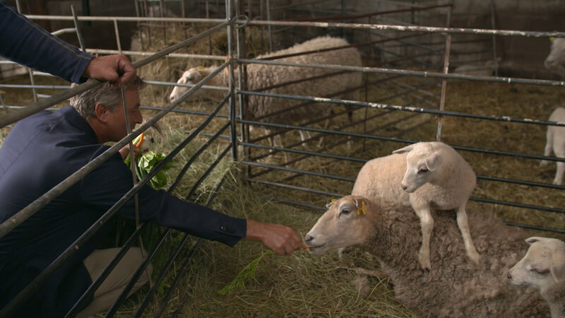 . – Bild: Marco Polo TV