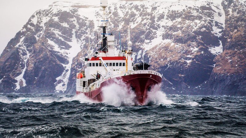 Stalbas am Meer, Schneeberge im Hintergrund. – Bild: Discovery, Inc.