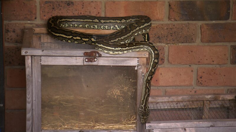 . – Bild: Warner Bros. Discovery