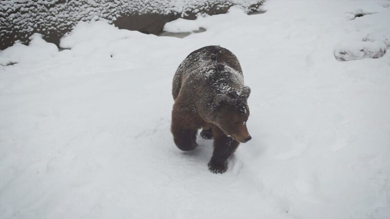 . – Bild: Warner Bros. Discovery