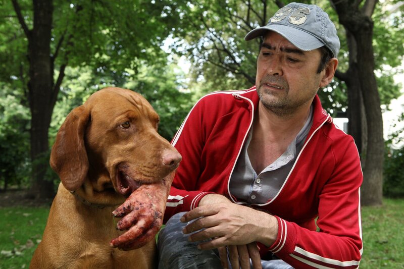 Der Hund eines Passanten apportiert eine abgetrennte Hand. – Bild: rbb/​ORF/​Petro Domenigg