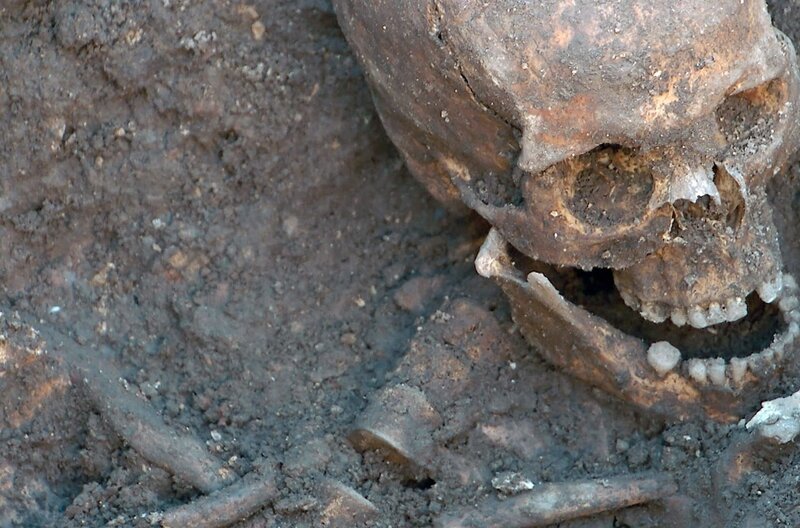 Das Skelett von König Richard III. wird in Leicester gefunden. – Bild: ZDF /​ University of Leicester